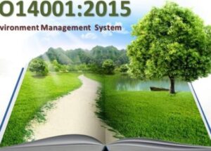 What-are-the-ISO-14001-2015-Environmental-Management-Principles-900x350